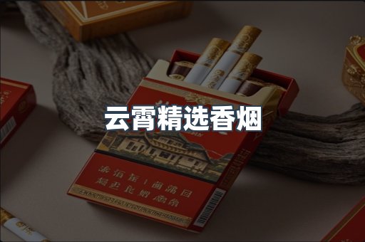 云霄香烟批发